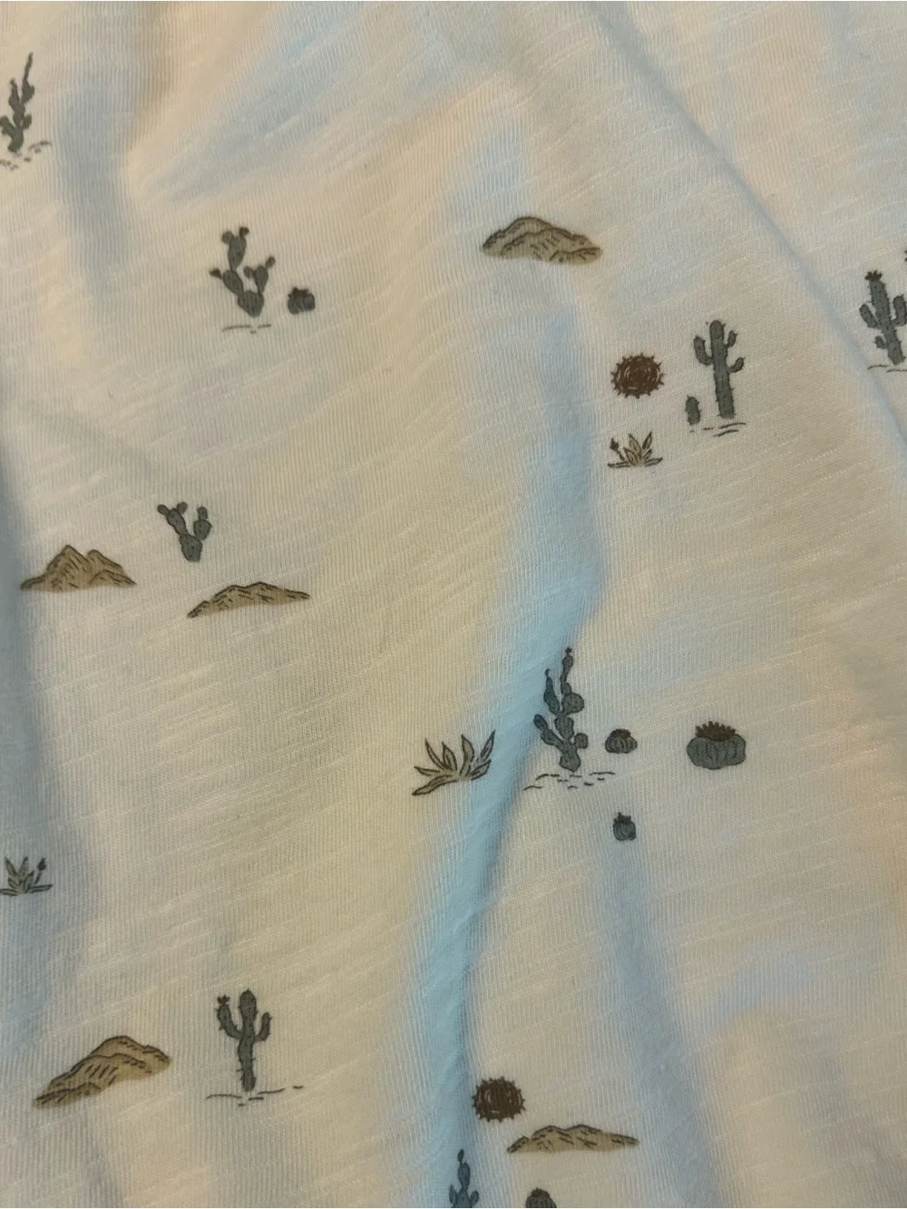 Rylee + Cru Girls' Finn Dress Cream Desert Cactus Print Cotton Size 10